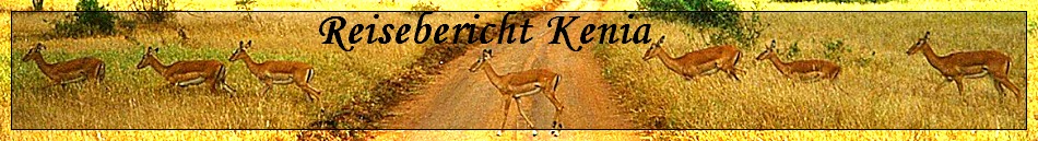 Reisebericht Kenia von Heinz Albers