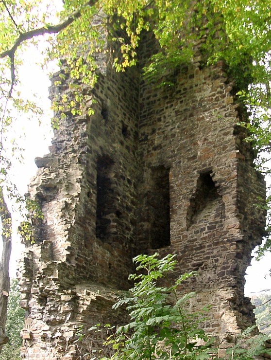 Die Burgruine Kattenturm in Kettwig