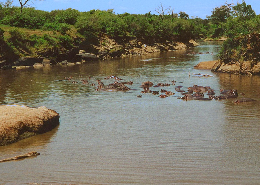 Masai Mara