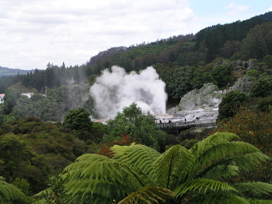 Hot Springs bei Rotorua