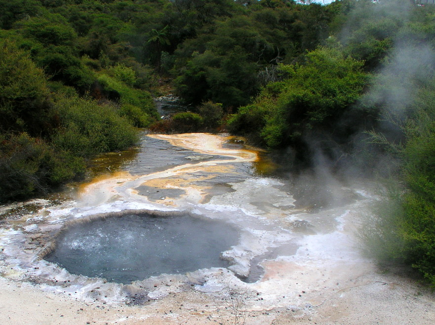 Georthermik in Rotorua