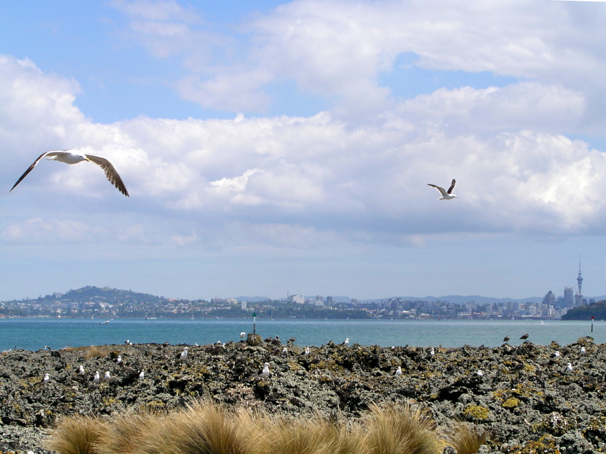 Rangitoto und Auckland