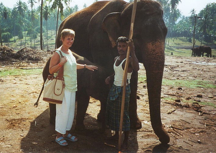 Der Mahut mit Elefanten