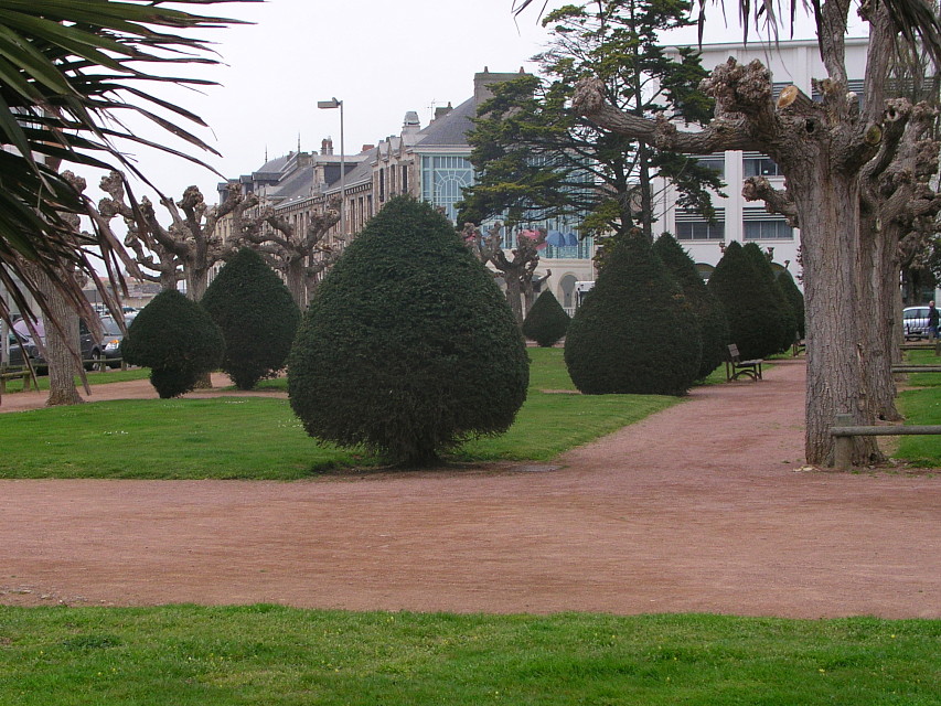 Bäume, Place du Générale Collineau