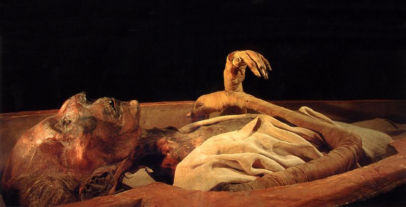 Mumie Ramses II. Copyright unbekannt Mumie Pharao Ramses II., starb mit 96 Jahren