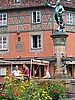 Lazarus von Schwendi, Colmar