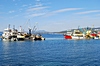 Fischereiboote im Hafen von Kusadasi