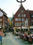 M�nsterland