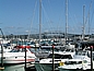 Auckland: City of Sails and Harbour Bridge