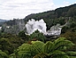 Urzeitliche Landschaft um Rotorua (Neuseeland)
