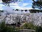 Whakarewarewa ist das größte Geysirfeld in Neuseeland. Es besteht aus etwa 500 heißen Quellen