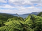 Lake Tarawera, 39 qkm großer See. Etwa 15 km südöstlich von Rotorua