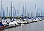 Rust - Neusiedler See