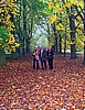 Park Schloss Halbturn
