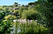 Kormorane