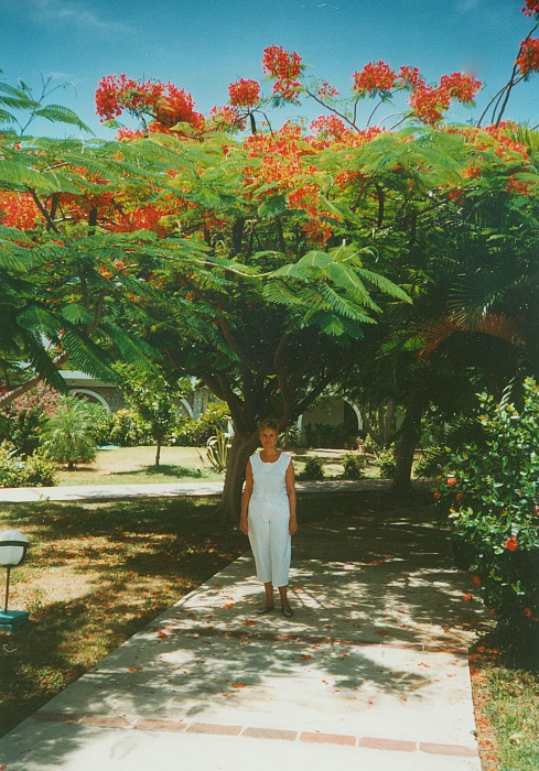 Hotel Los Corales 1997